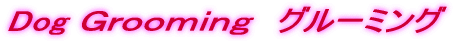 �f���������������@�O���[�~���O