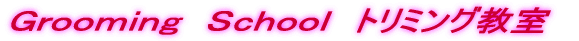 �g���~���O���� �f���������������@�r����������